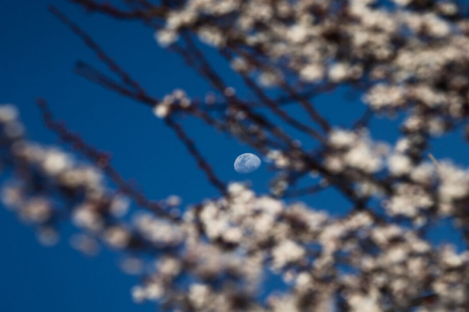 ΑΝΟΙΞΗ ΚΑΙΡΟΣ