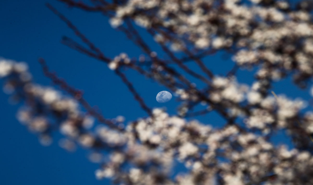 ΑΝΟΙΞΗ ΚΑΙΡΟΣ