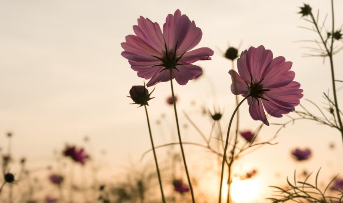 Εορτολόγιο – Μεγάλο Σάββατο: Ποιοι γιορτάζουν σήμερα