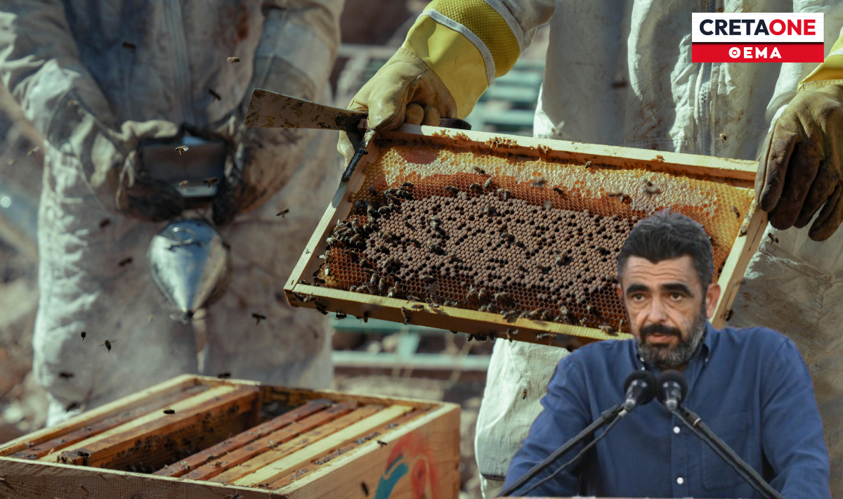 Κόστος, κλίμα και νοθεία οδηγούν το ελληνικό μέλι στο χείλος του γκρεμού