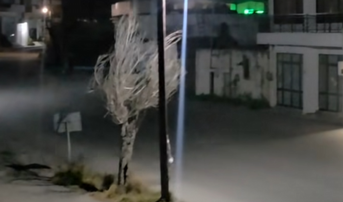 Μεσαρά: Οι θυελλώδεις άνεμοι έφεραν καταστροφές στις Μοίρες – Δείτε βίντεο