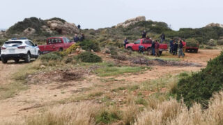 νεκρός Φαλάσαρνα