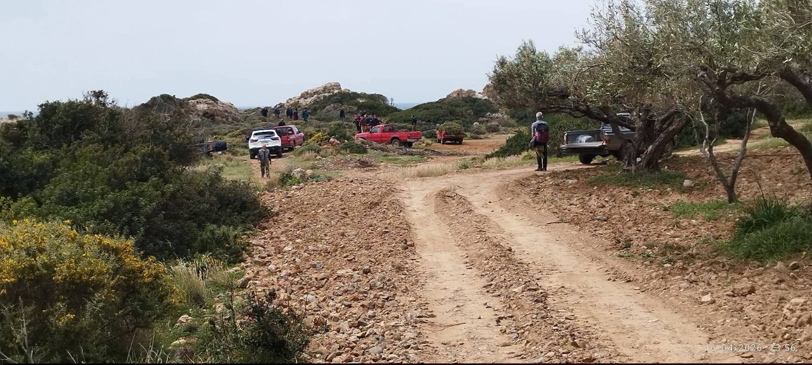 νεκρός Φαλάσαρνα