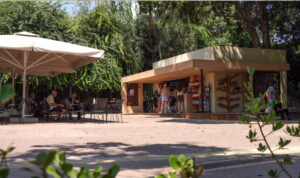 Τελικός Κυπέλλου: Ο καιρός χάλασε τα σχέδια για την γιγαντοοθόνη στο πάρκο Γεωργιάδη