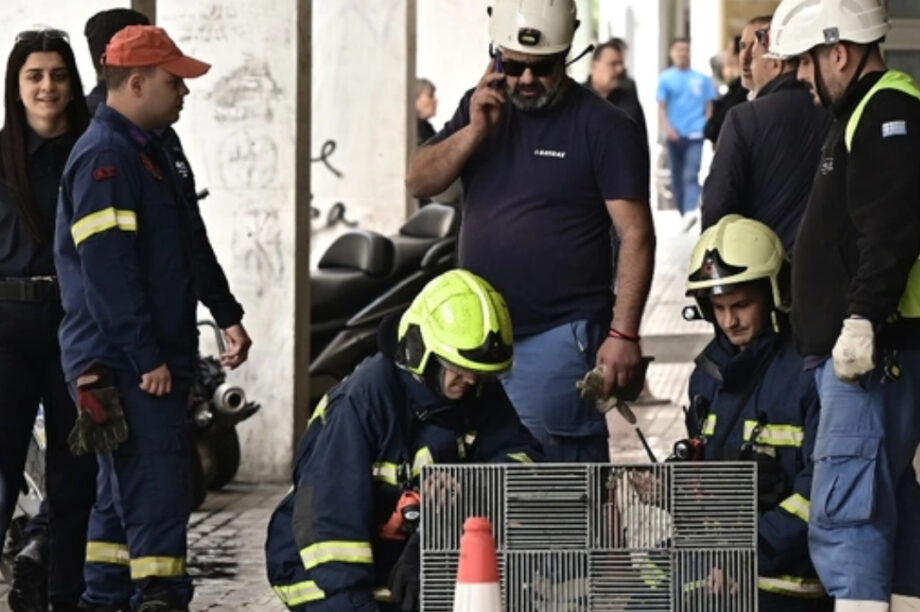 ΕΚΡΗΞΗ ΥΠΟΥΡΓΕΙΟ ΑΓΡΟΤΙΚΗΣ ΑΝΑΠΤΥΞΗΣ