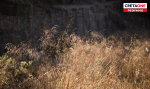 Ρέθυμνο: Τραγικό τέλος για άνδρα στα Σαχτούρια – Βρέθηκε νεκρός σε χωράφι κοντά στο σπίτι του