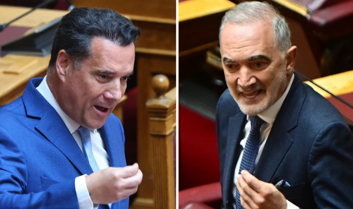 Νέος καυγάς στη Βουλή: Ο Άδωνις Γεωργιάδης κατά του Μάριου Σαλμά – «Είστε άσχετος ή εκπρόσωπος συγκεκριμένης εταιρείας»