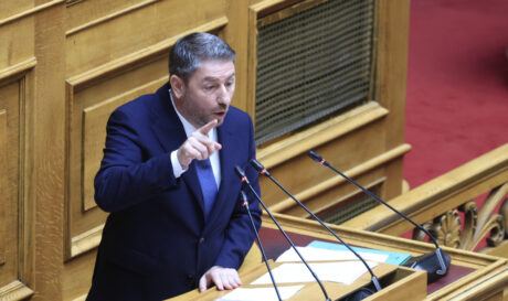 Νίκος Ανδρουλάκης Βουλή