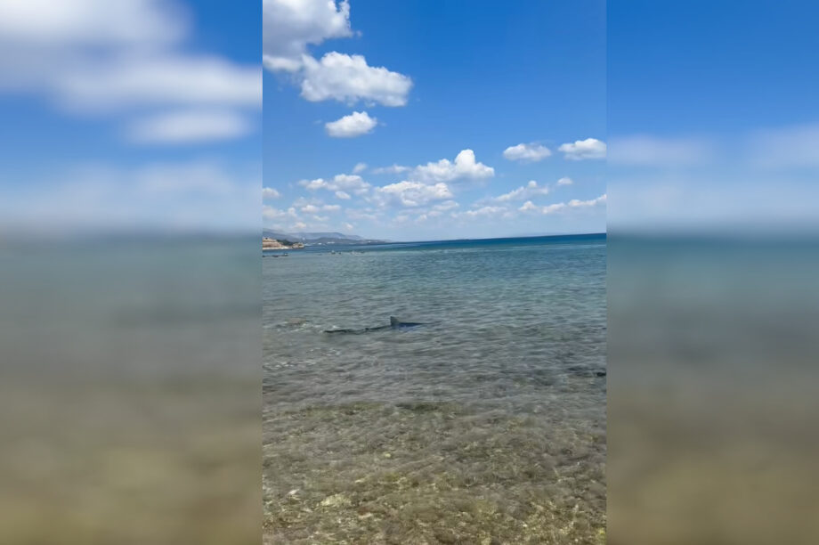 Καρχαρίας παραλία