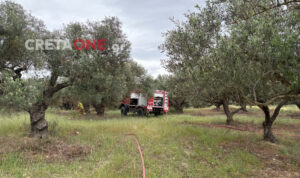 Φωτιά σε καλάμια στο χωριό Τουρλωτή – Ισχυρή κινητοποίηση της Πυροσβεστικής
