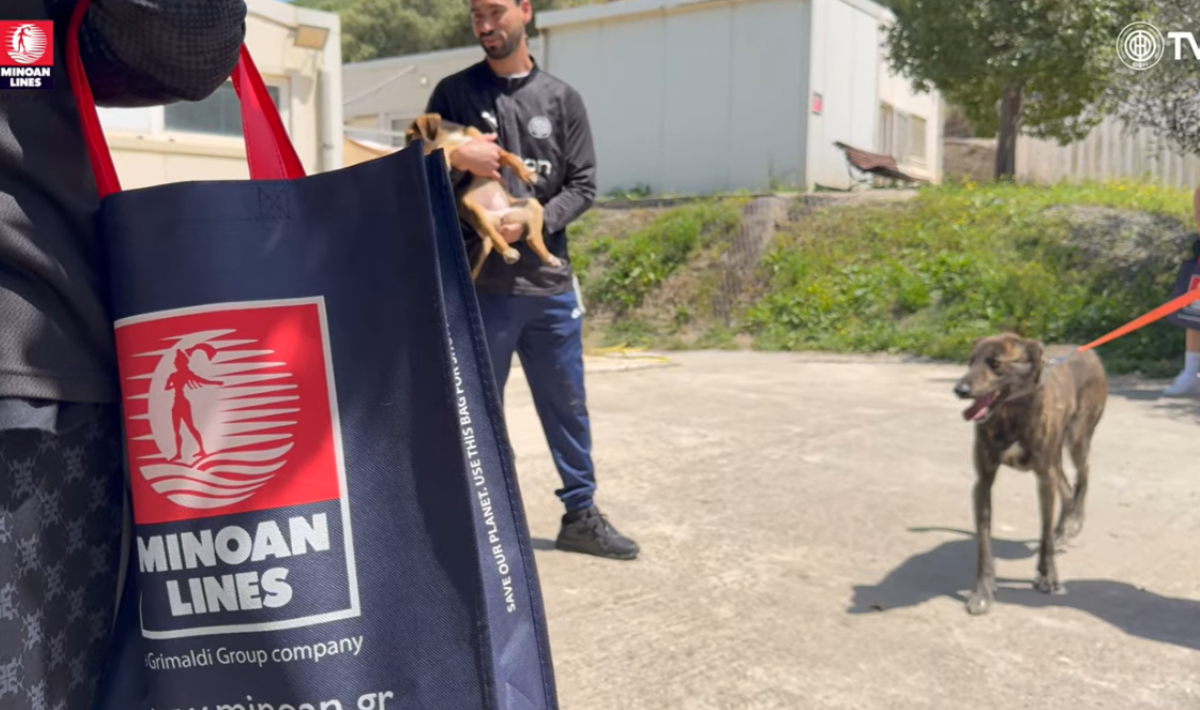 Από κοινού δράση ΠΑΕ ΟΦΗ και MINOAN LINES για τα αδέσποτα ζώα