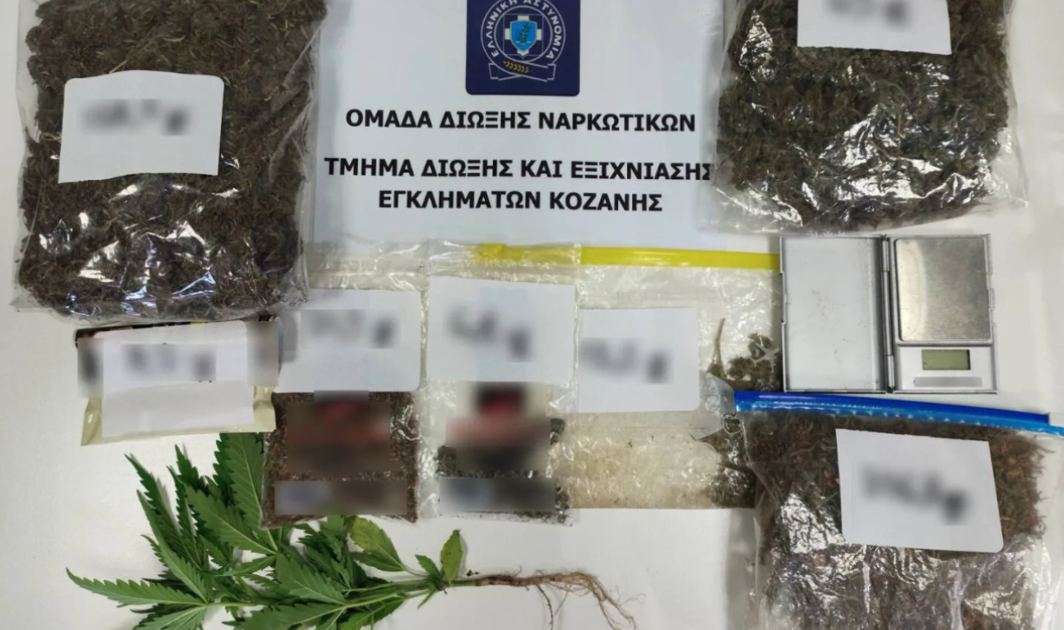 Κοζάνη: Συνελήφθη 51χρονος που καλλιεργούσε δενδρύλλιο κάνναβης στο σπίτι του