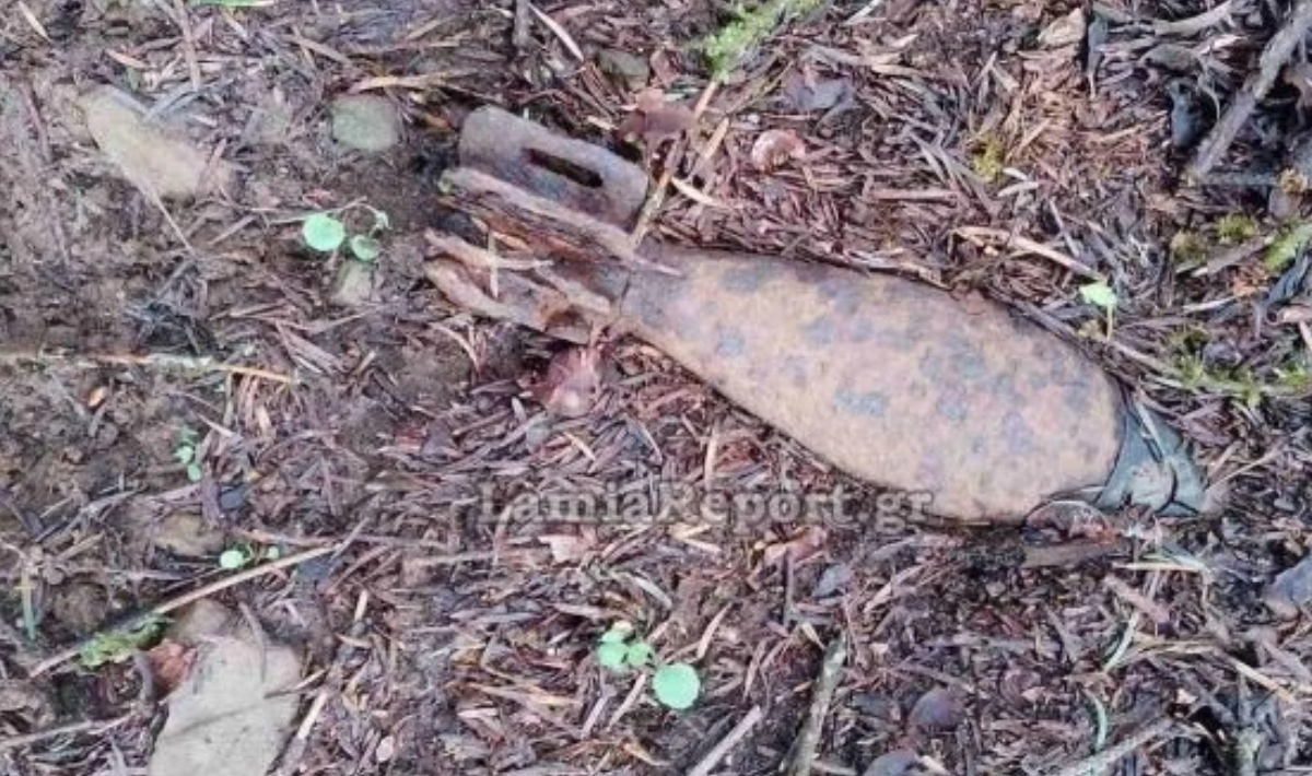 Ευρυτανία: Περιπατητές εντόπισαν όλμο σε δάσος (φωτο)