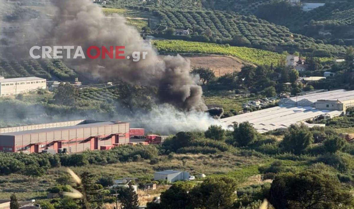 Φωτιά τώρα στη Φοινικιά: Άμεση κινητοποίηση της Πυροσβεστικής