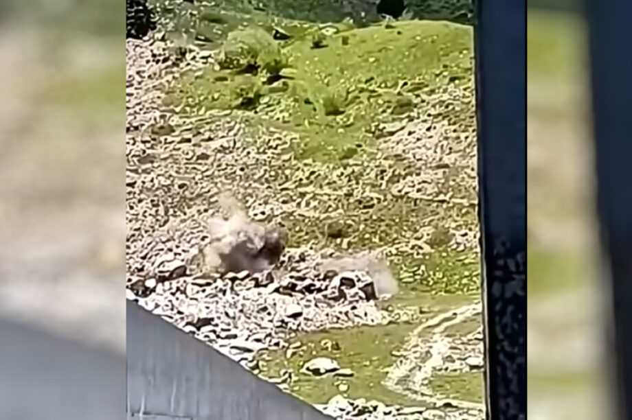 Βελούχι: Η στιγμή της ελεγχόμενης έκρηξης όλμου που εντοπίστηκε σε δάσος (βίντεο)