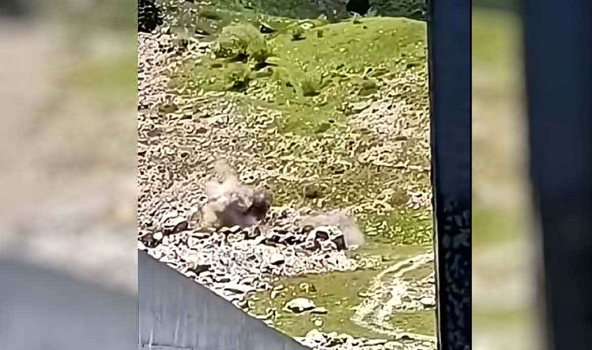 Βελούχι: Η στιγμή της ελεγχόμενης έκρηξης όλμου που εντοπίστηκε σε δάσος (βίντεο)