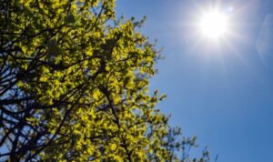 Αίθριος ο καιρός σήμερα Τρίτη 12/5 στην Κρήτη – Που θα φτάσει το θερμόμετρο
