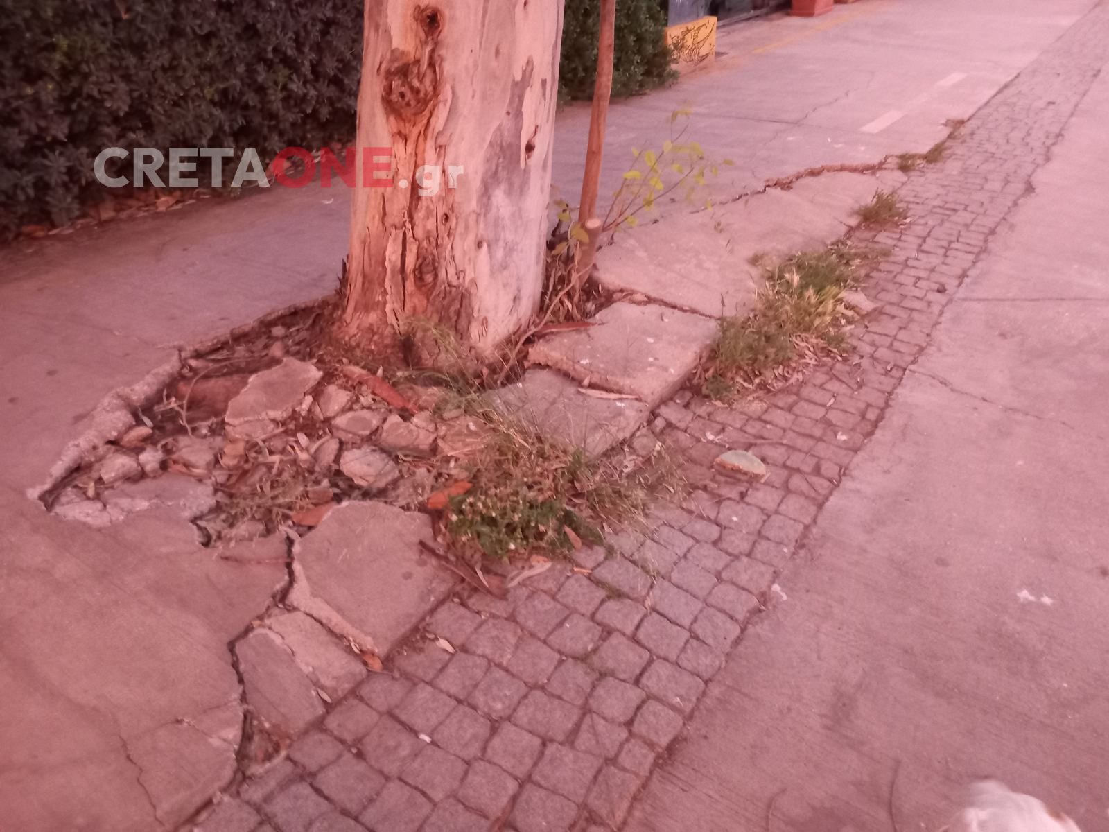 παραλιακή πτώση 