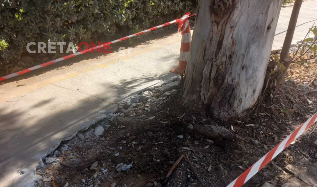 παραλιακή πτώση