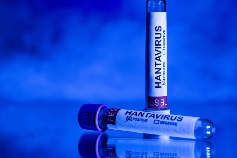 Γαλλία: Λαμβάνει προληπτικά μέτρα κατά του χανταϊού