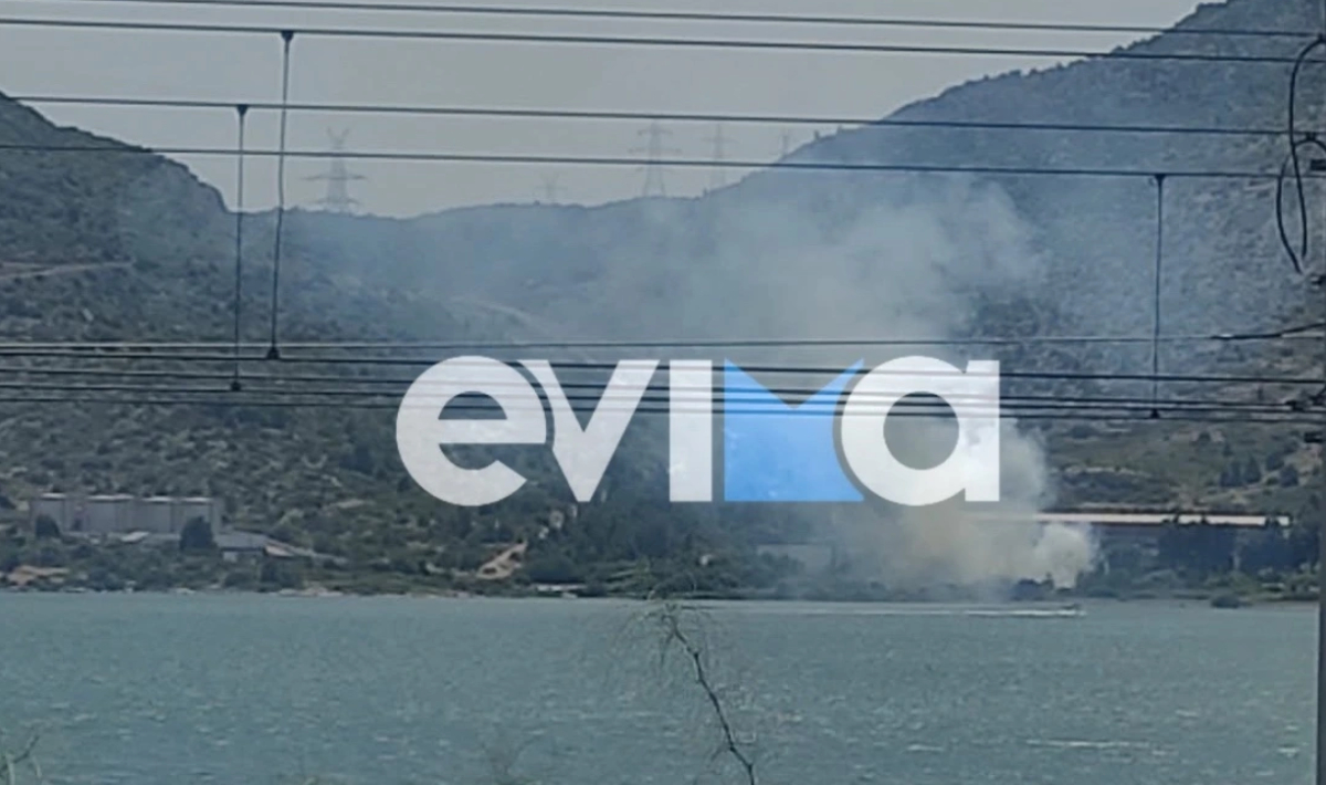 Φωτιά τώρα έξω σε ξερά χόρτα από εργοστάσιο στη Χαλκίδας