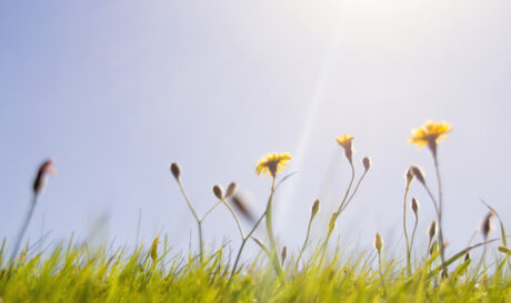 ΚΑΙΡΟΣ ΜΕΡΟΜΗΝΙΑ