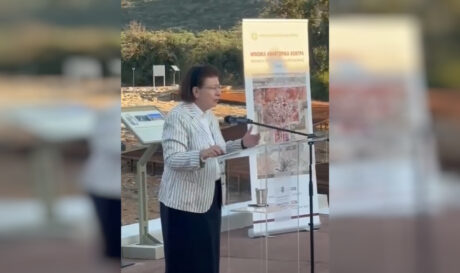 ΜΕΝΔΩΝΗ ΜΑΛΙΑ