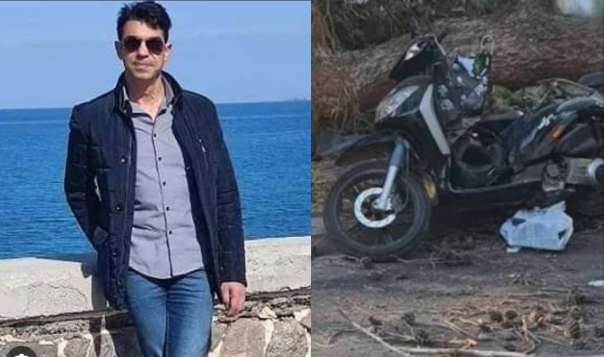 Ηράκλειο: «Πάγωσε» η δίκη για το φονικό πεύκο – Νέα ημερομηνία μετά την αναβολή