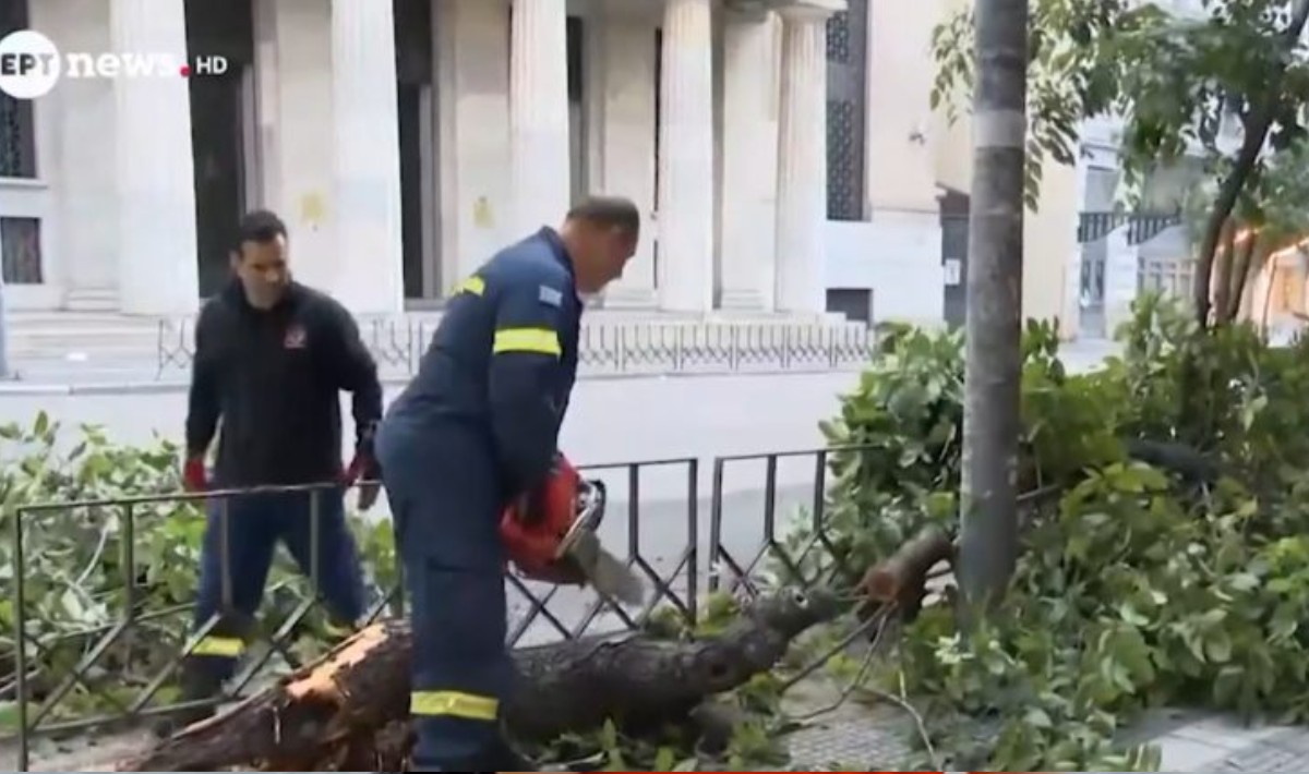 Θεσσαλονίκη: Μέρος δέντρου έπεσε στην Τσιμισκή – Από τύχη δεν σημειώθηκε τραυματισμός