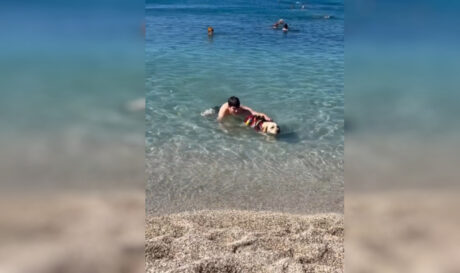 Ήρα: Το σκυλί «φύλακας άγγελος» του Ελληνικού Ερυθρού Σταυρού (βίντεο)