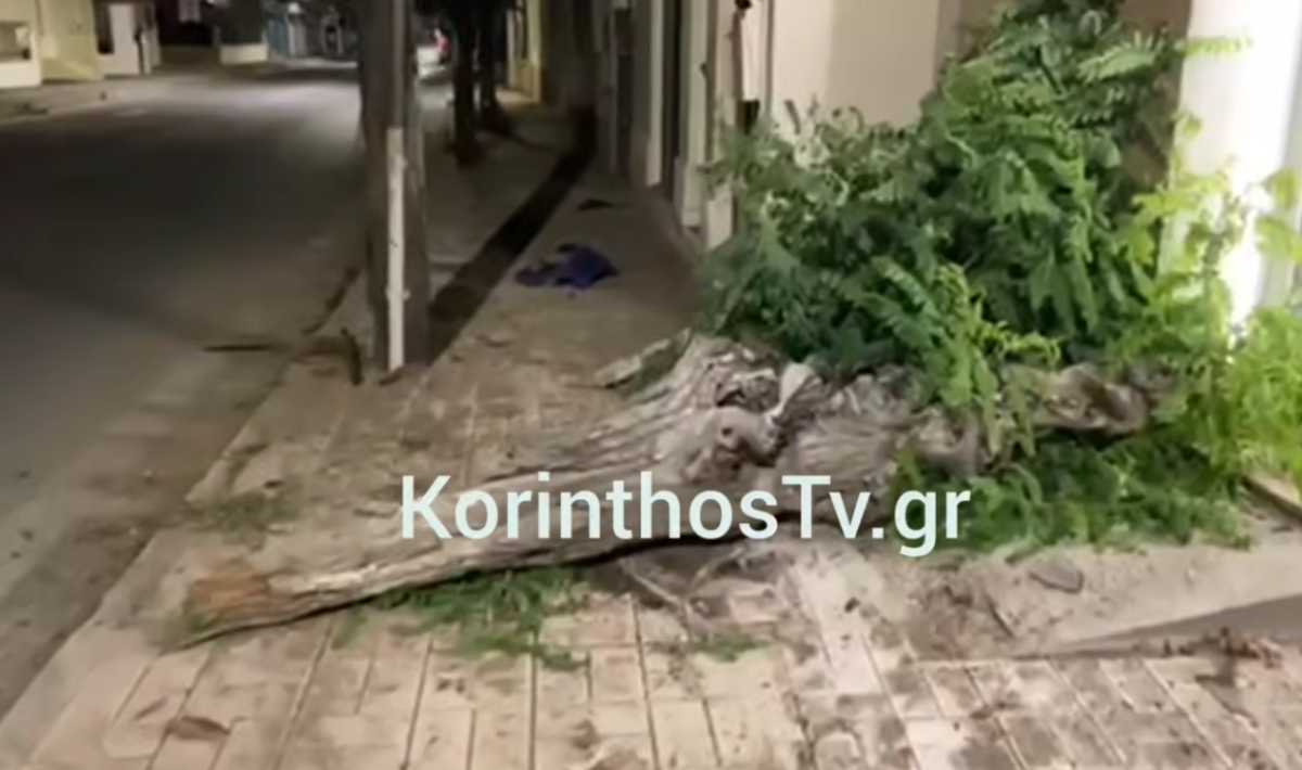 Σοβαρό τροχαίο στο Κιάτο: Αυτοκίνητο «ξήλωσε» δέντρο