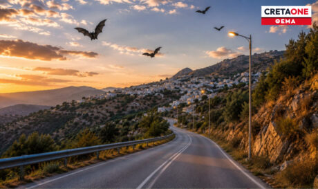 με ειδικό φωτισμό για πτηνά και νυχτερίδες η συνδεση των δρομων στα Ανωγεια