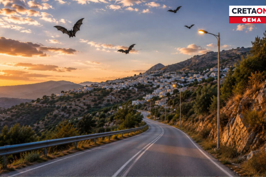 με ειδικό φωτισμό για πτηνά και νυχτερίδες η συνδεση των δρομων στα Ανωγεια