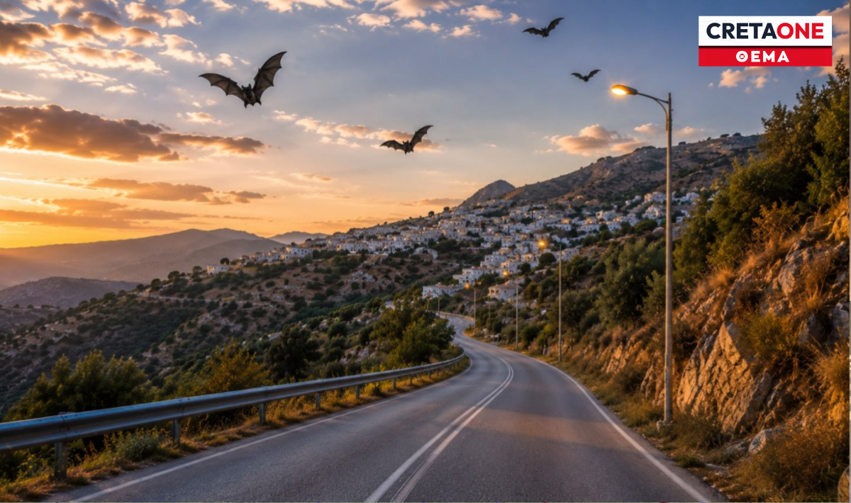 «Ψαλίδι» στον φωτισμό για τα πουλιά και τις νυχτερίδες! Τι προβλέπεται για το σημαντικό οδικό έργο στο Ρέθυμνο