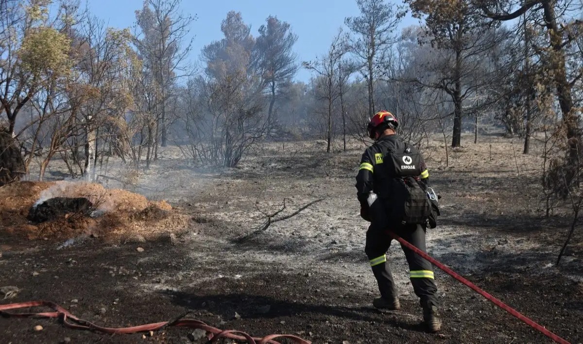 Νέα Μάκρη: «Καμπάνα» 3.000 ευρώ σε ηλικιωμένο που άναψε ψησταριά