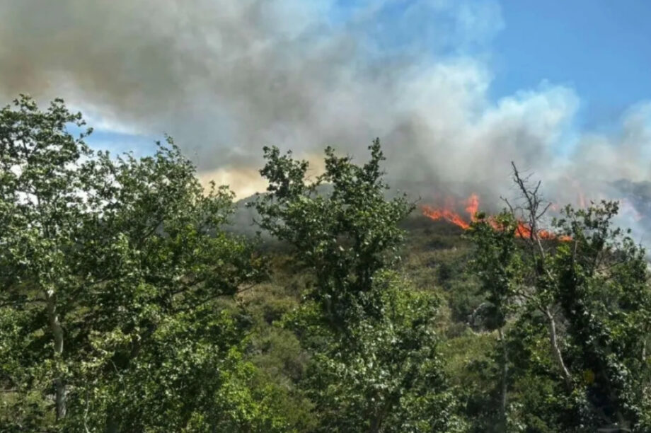 Φωτιά σε δασική περιοχή (φωτογραφία αρχείου)