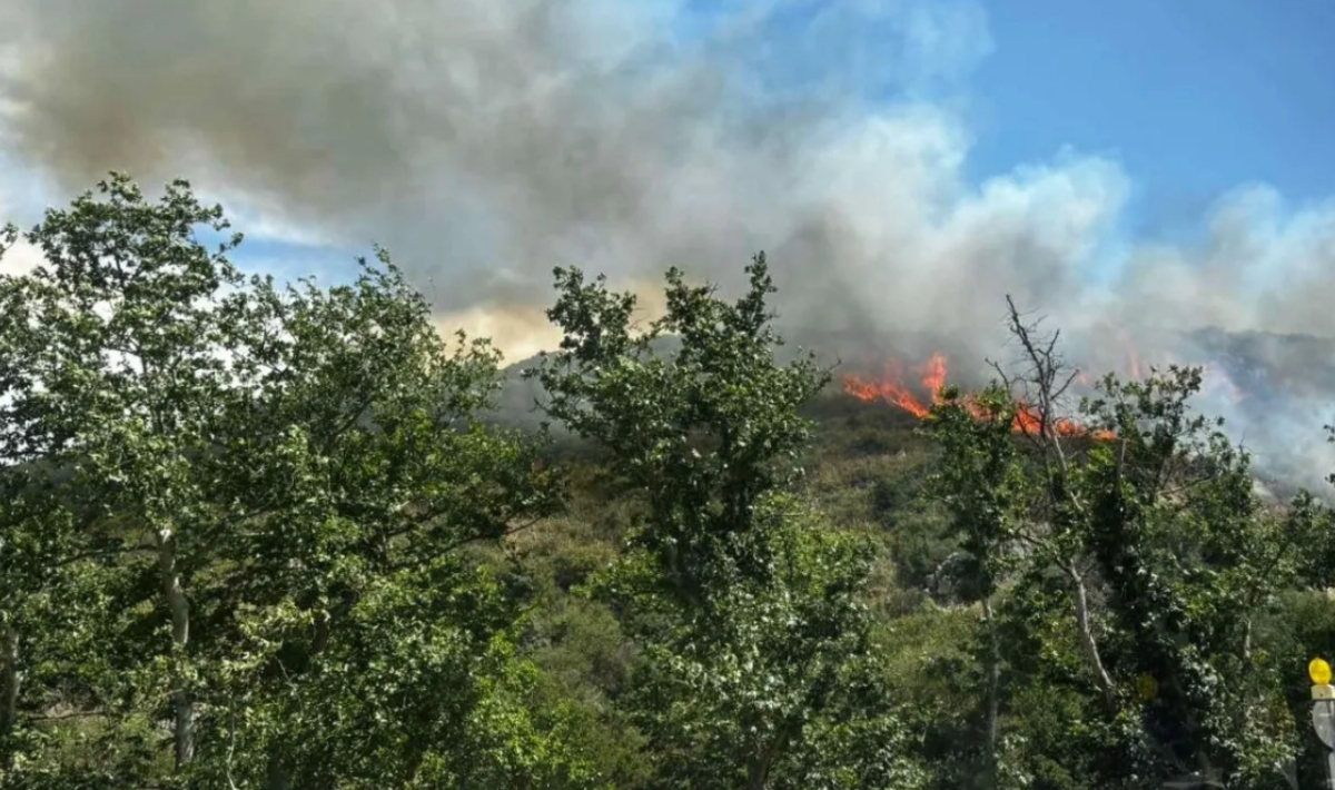 Πάτρα: Συναγερμός για φωτιά στην περιοχή Κρήνη – Καίει ξερά χόρτα