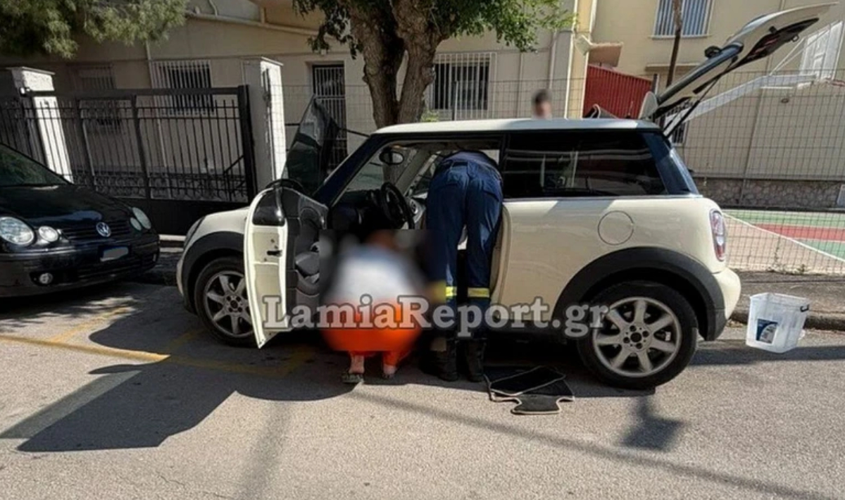 Φίδι τρύπωσε σε σταθμευμένο αυτοκίνητο στη Λαμία και κρύφτηκε στο ταμπλό