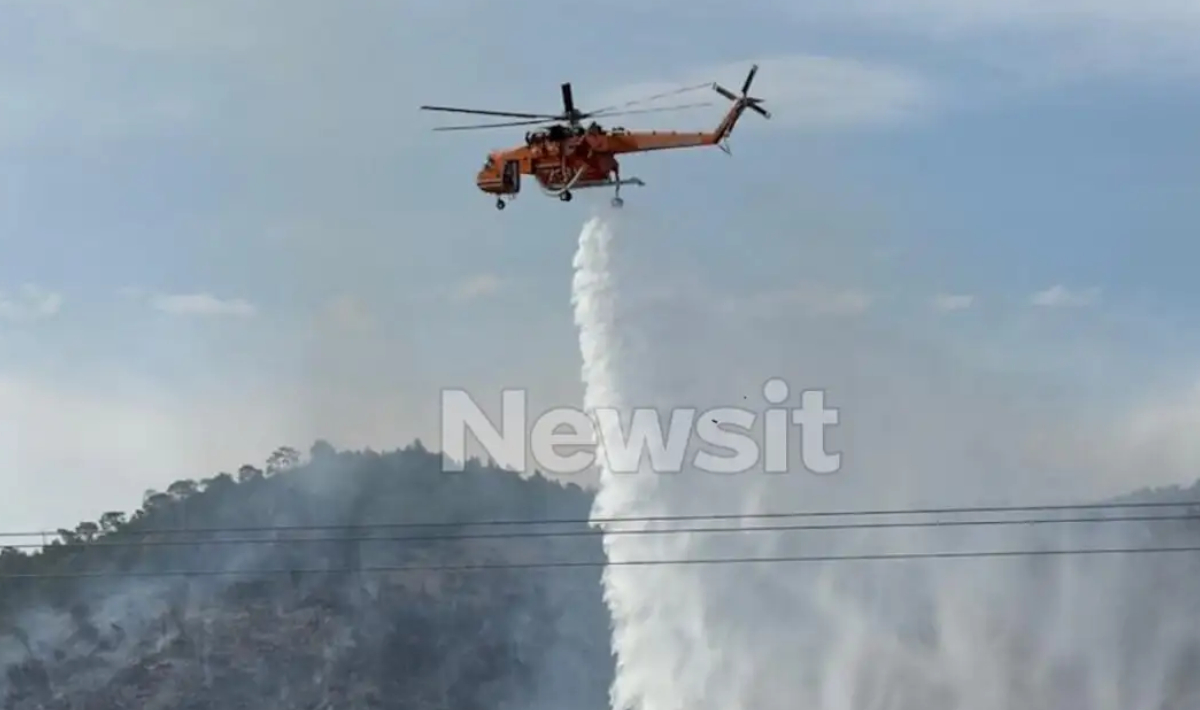 Φωτιά στο Λουτράκι: Συνελήφθη 70χρονος Γάλλος που εκτελούσε αγροτικές εργασίες με χορτοκοπτικό