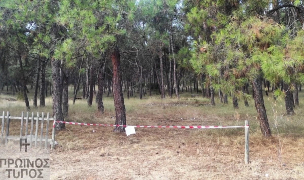 Δράμα: Πώς δολοφόνησε ο 50χρονος την Αντιγόνη – Τη χτυπούσε με λοστό πριν την μαχαιρώσει