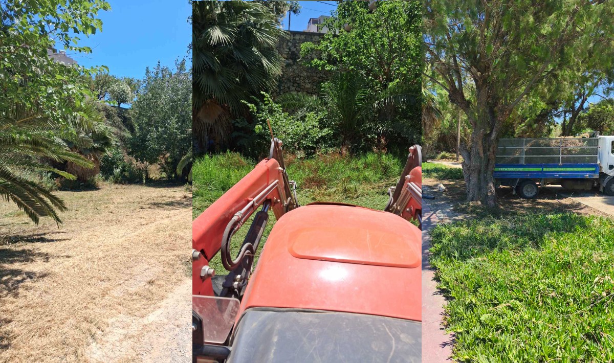 Συνεχίζονται οι εργασίες συντήρησης του πρασίνου σε Ευκάλυπτο, παραλιακή και 10ο Γυμνάσιο (Φώτο)