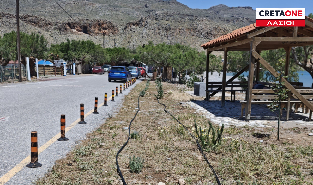 Δράση δεντροφύτευσης στην Κάτω Ζάκρο και τον Ξερόκαμπο