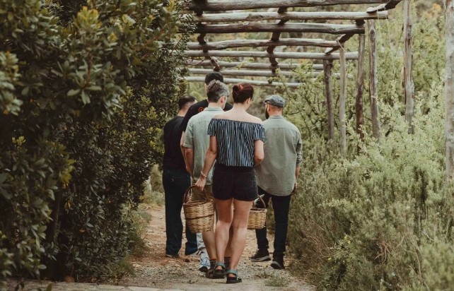PESKESI ORGANIC FARM