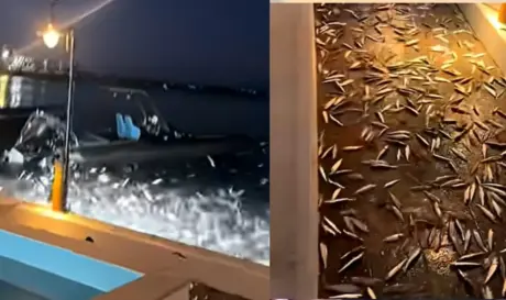 ΠΡΕΒΕΖΑ