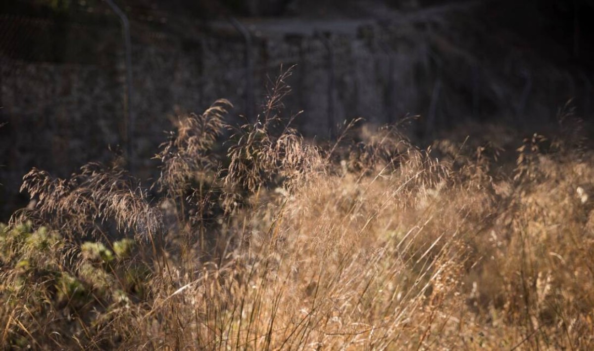 Ακαθάριστα οικόπεδα: Πότε λήγει η προθεσμία