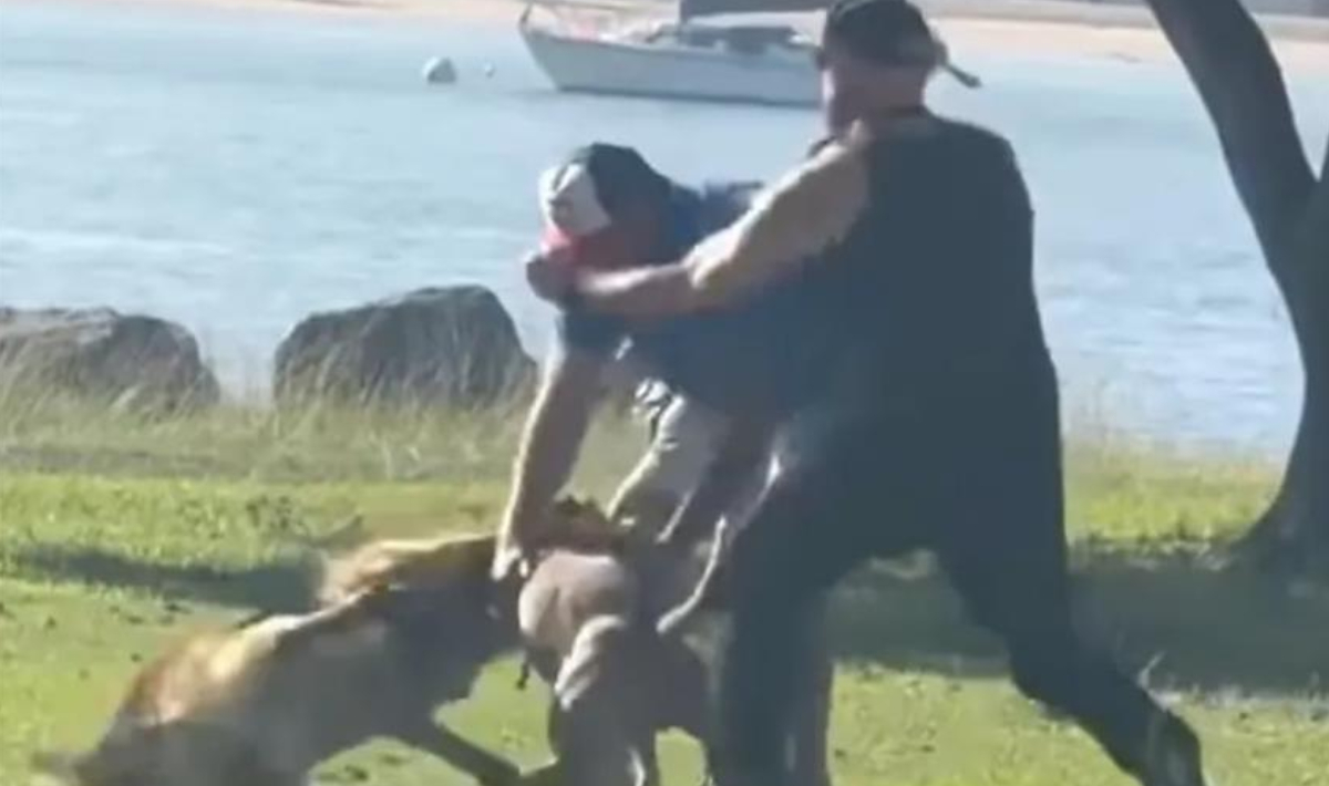 Άντρες πιάστηκαν στα χέρια και οι σκύλοι τους ενεπλάκησαν στον άγριο καβγά