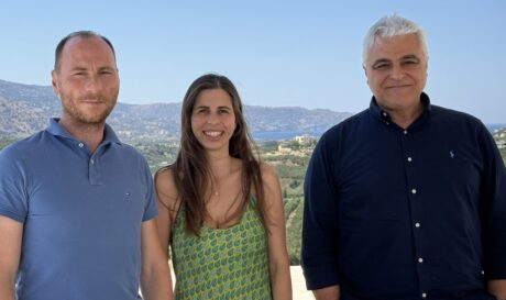 ΙΤΕ ΜΕΛΕΤΗ