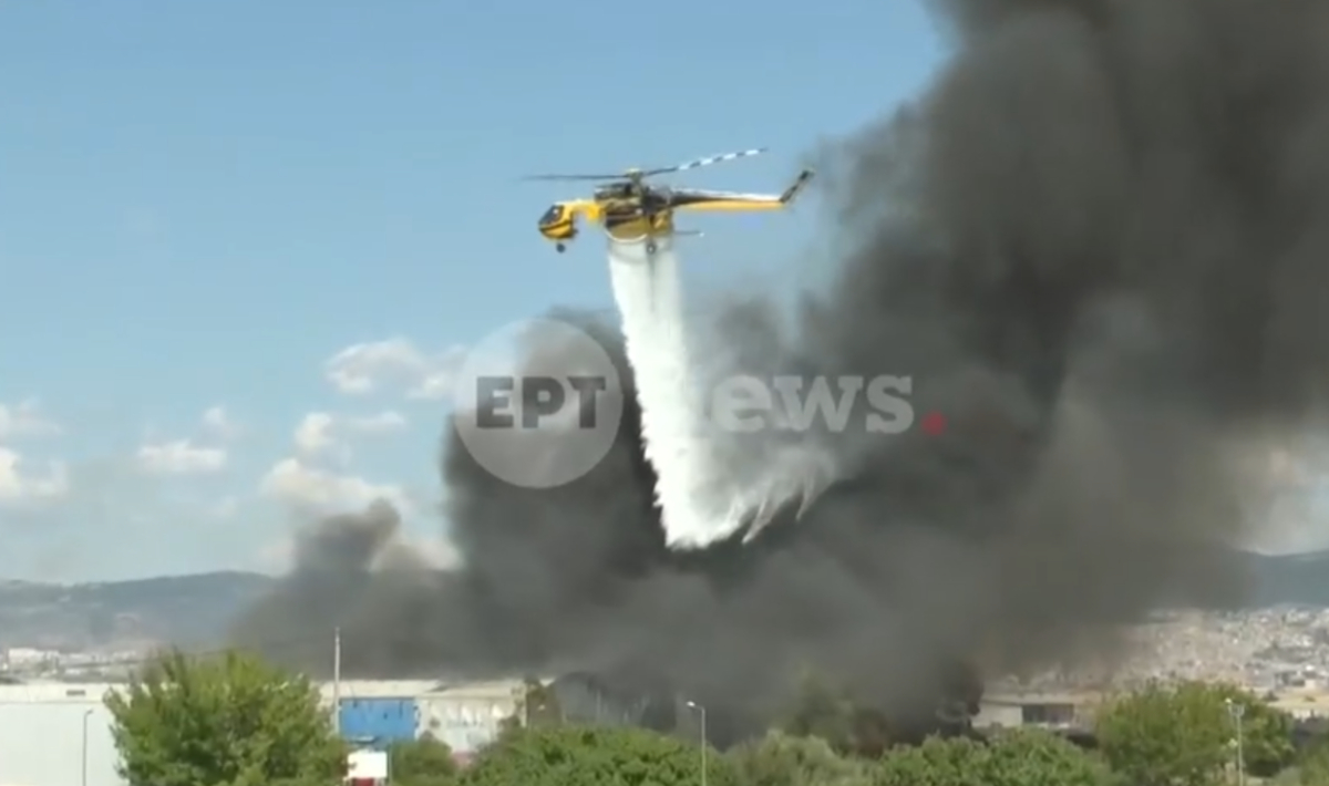 Καταδικάστηκε 70χρονος υπεύθυνος για την φωτιά στο Καλοχώρι – «Ήθελα να διώξω τις σφήκες» (βίντεο)