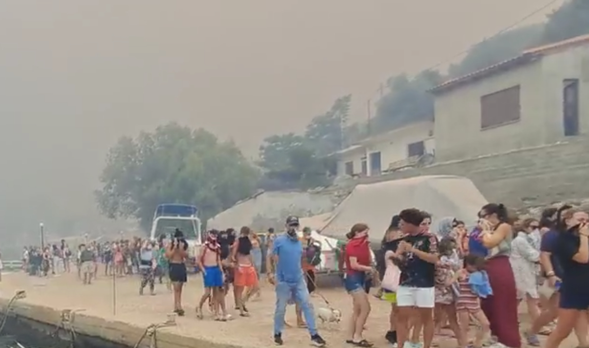 Βοιωτία: Μεγάλη πυρκαγιά στον Άγιο Βασίλειο – Εκκενώσεις από τη θάλασσα (βίντεο)