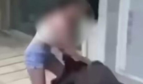 ΞΥΛΟΔΑΡΜΟΣ ΗΡΑΚΛΕΙΟ